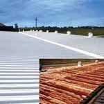 B_0210_RN_ToppsSeal_tn B_0210_RN_ToppsSeal_tn