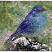 B_0210_HAKATAI_NEW B_0210_HAKATAI_NEW