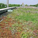 B_0110_RN_PastPresentFuture_tn B_0110_RN_PastPresentFuture_tn