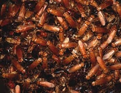 B_0109_Newsworthy3 B_0109_Newsworthy3