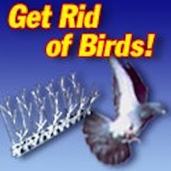 1651075831233 B 0308 Atm Birdx 1651075831233 B 0308 Atm Birdx