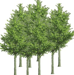 B_0408_GreenMean5 B_0408_GreenMean5