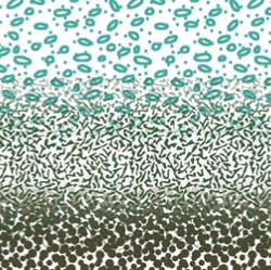 B_0408_GreenMean3 B_0408_GreenMean3