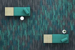 ColourInterference_Lineation_00400_00401_00402_00403_OH3 ColourInterference_Lineation_00400_00401_00402_00403_OH3