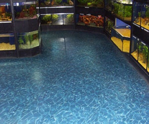 B_0212_product_LsiFloors_LsiFlooring