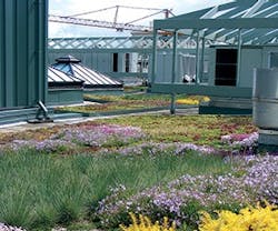 1651537377447 B 0315 Products Seamancorp 1651537377447 B 0315 Products Seamancorp