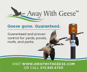 1651538534145 Awg Animation 300x25002