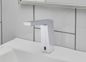 1651539488048 American Standard Paradigm Site