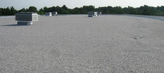 1651539848372 Burmastic