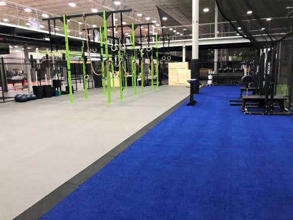 1651540149004 Ecoremodzilla