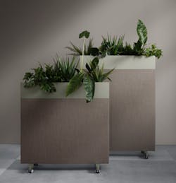 1651540397199 Zorla With Plants 1651540397199 Zorla With Plants