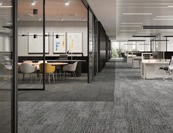 1651540516965 Manningtoncommercial Swell Edit 1651540516965 Manningtoncommercial Swell Edit