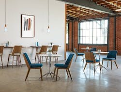 1651540739315 Arcadia Theme Edit 1651540739315 Arcadia Theme Edit