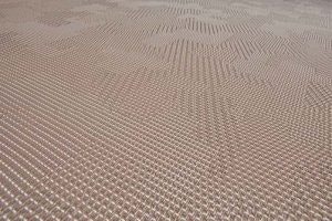 1651540880394 Bolon Bolonpatriciaurquiola Edit