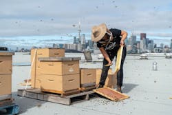 1652184856049 Bld Beehive Roof2 1652184856049 Bld Beehive Roof2