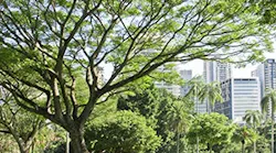 B_0316_News_green