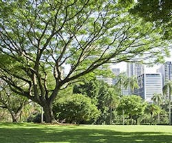 1652185922958 B 0316 News Green 1652185922958 B 0316 News Green