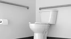 B_0315_Buzz_Toilet