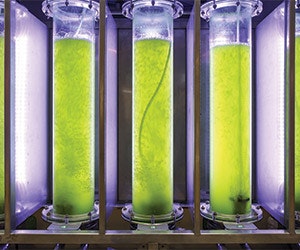 1652186566492 B 0317 Resiliantbuildings3