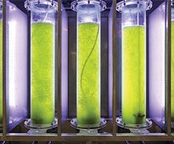 1652186566492 B 0317 Resiliantbuildings3 1652186566492 B 0317 Resiliantbuildings3