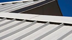 B_0215_Buzz_Roof