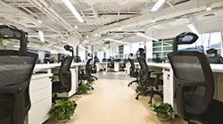 B_0316_Buzz_office