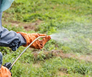 1652187419003 B 0316 News Green2