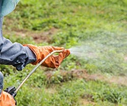 1652187419003 B 0316 News Green2 1652187419003 B 0316 News Green2