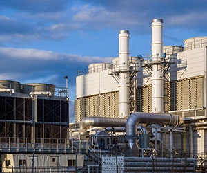 1652187450351 B 0316 News Tan