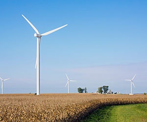 1652187467655 B 0316 News Wind