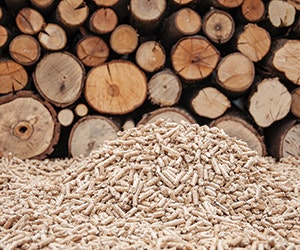 1652187501660 B 0316 Gf Bio