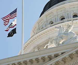 1652187627406 B 0116 Tem Law