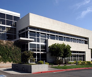 1652187814288 B 0315 Newsfeed Office