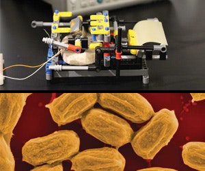 1652189294389 B 0314 Tem5