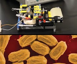 1652189294389 B 0314 Tem5 1652189294389 B 0314 Tem5