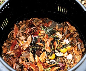 1652189364115 B 0214 Ny Metro4