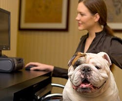 1652189436971 1213dog 1652189436971 1213dog