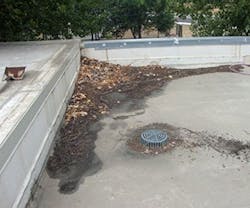 1652189489608 1draindebris Web 1652189489608 1draindebris Web