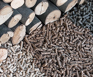 1652189500675 B 0114 Gf1