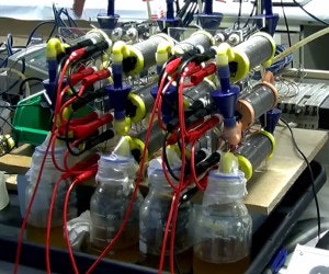 1652189639256 1013newsfeedurineelectricity