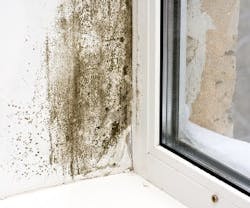 1652189779059 1013newsfeedmold 1652189779059 1013newsfeedmold