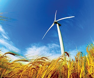 1652190372428 B 0313 Tem5