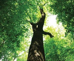 1652191635127 B 03 Sustainability1 1652191635127 B 03 Sustainability1