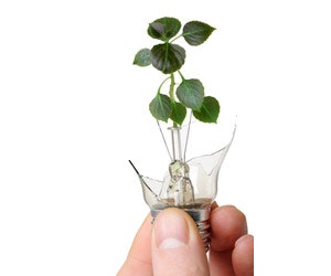 1652191740251 B 0112 Led