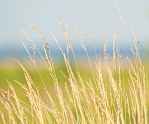 1652191789559 B 0212 Sustainability