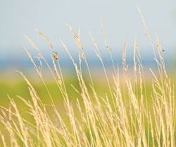 1652191789559 B 0212 Sustainability 1652191789559 B 0212 Sustainability