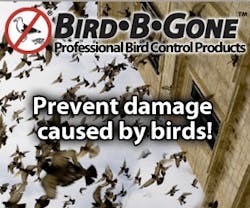 1652193436545 B 0311 Sc Birdbgone 1of6 1652193436545 B 0311 Sc Birdbgone 1of6