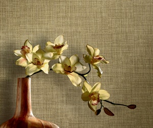 1652193515001 B 0311 Products Belgique