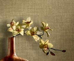 1652193515001 B 0311 Products Belgique 1652193515001 B 0311 Products Belgique