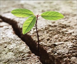 1652193611307 B 0311 Newsworthy7 1652193611307 B 0311 Newsworthy7